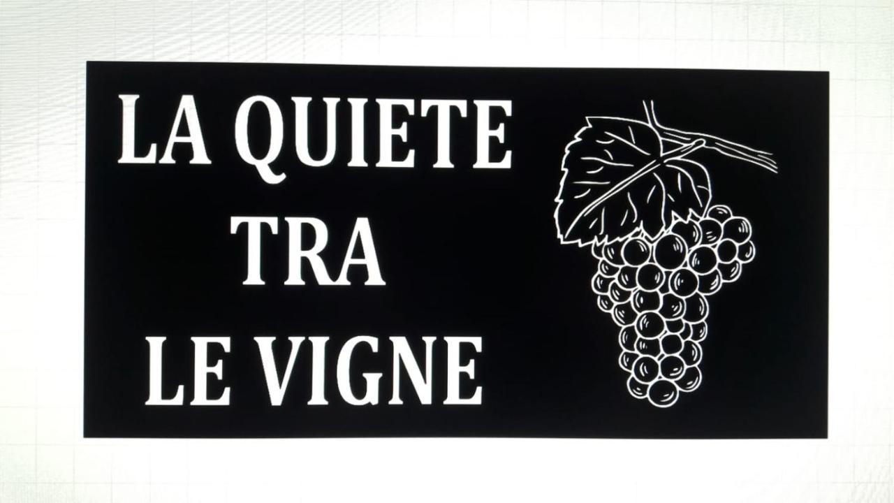 La Quiete Tra Le Vigne Tuscany Collesalvetti Exterior photo