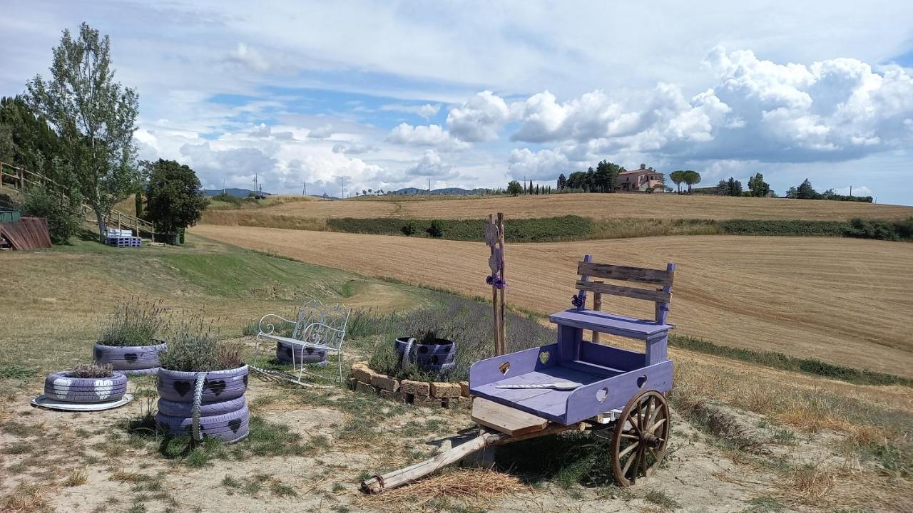 La Quiete Tra Le Vigne Tuscany Collesalvetti Exterior photo