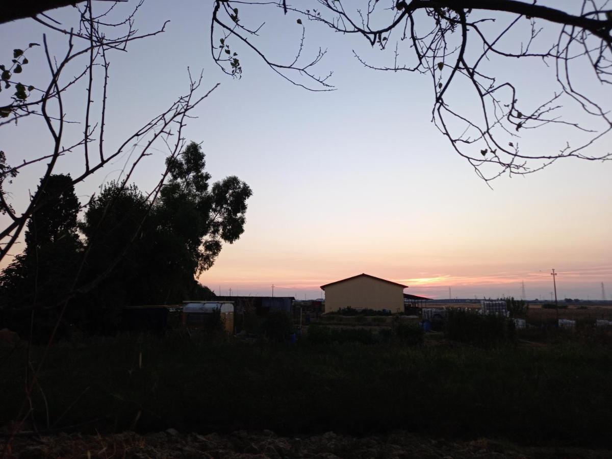 La Quiete Tra Le Vigne Tuscany Collesalvetti Exterior photo